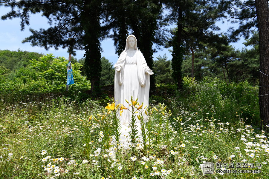 2019-06-20 at 11-38-55.jpg