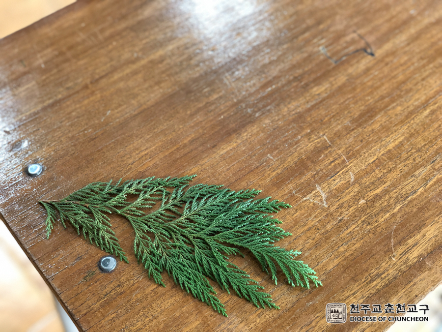 2018-03-25 at 14-12-03.jpg