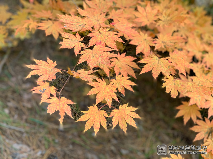 2019-10-24 at 12-57-30.jpg