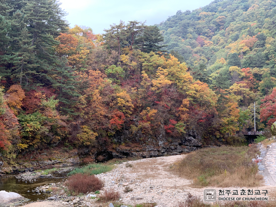 2019-10-24 at 10-30-54.jpg