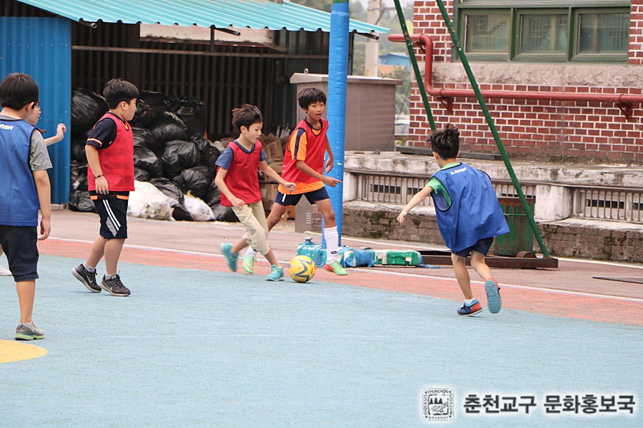 2015춘천지구초등부연합체육대회 (15).jpg