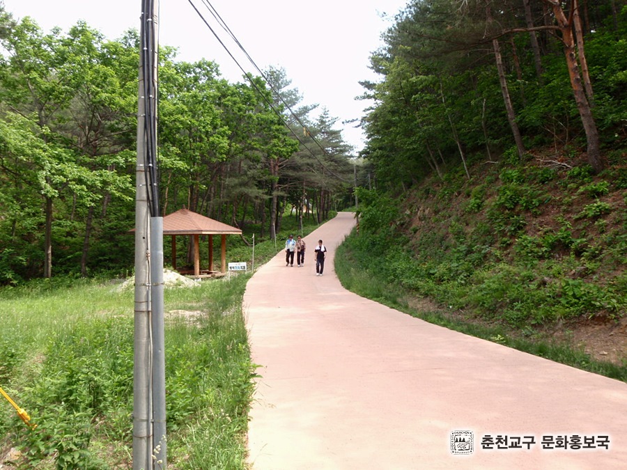 P6051700.JPG
