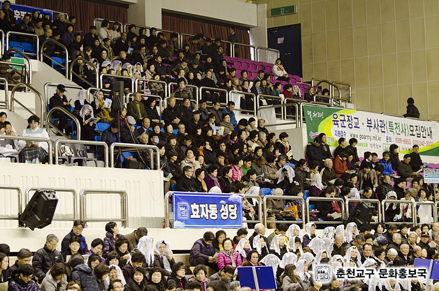 2013112510.jpg