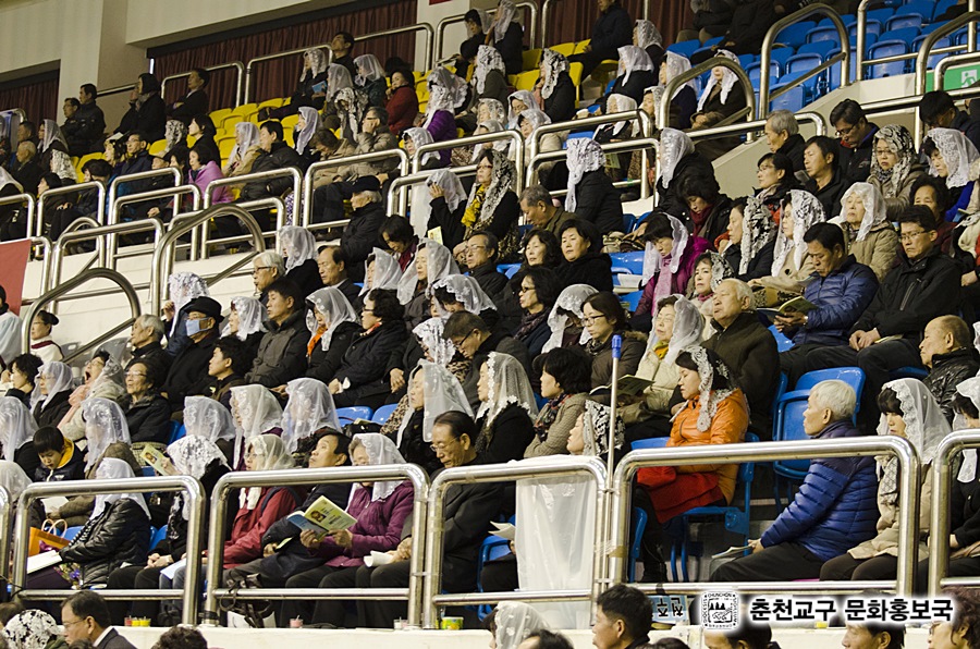 2013112539.jpg