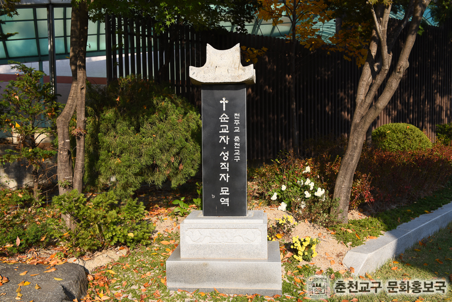 DSC_0264.jpg