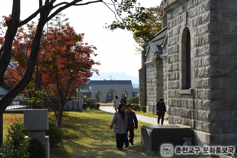 DSC_0256.jpg
