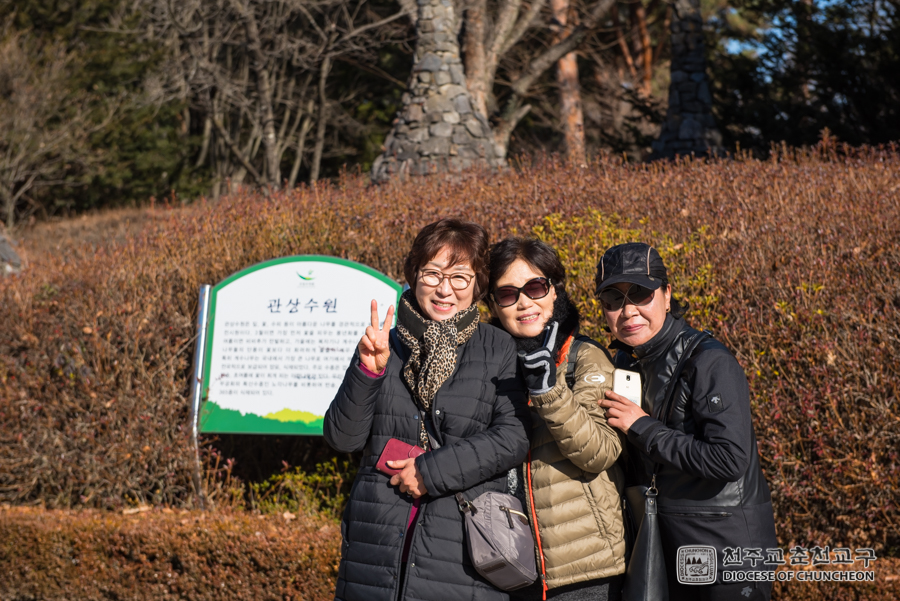 2018-11-23 at 10-41-48.jpg