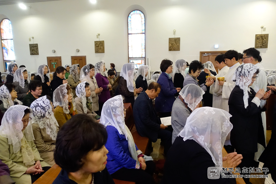 2017-04-13 at 12-14-04.jpg