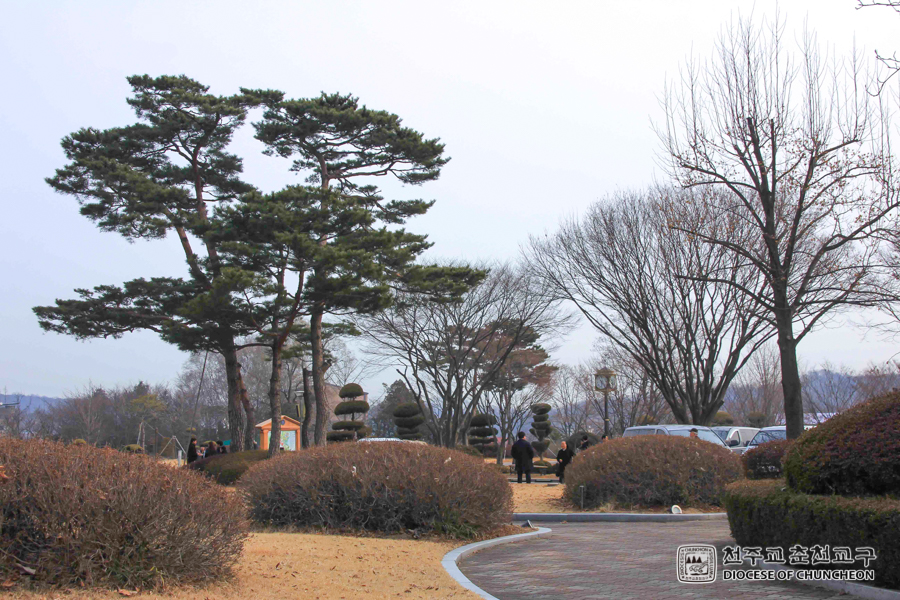 2017-03-01 at 10-55-44.jpg
