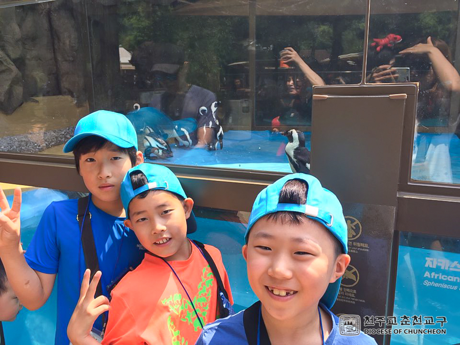 2019-06-13 at 10-16-44.jpg