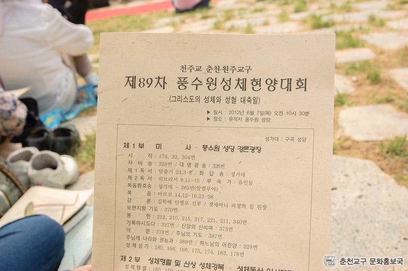 poong (16).jpg