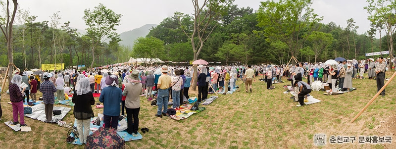 poong (7).jpg