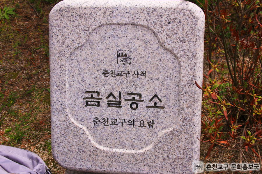 462.jpg