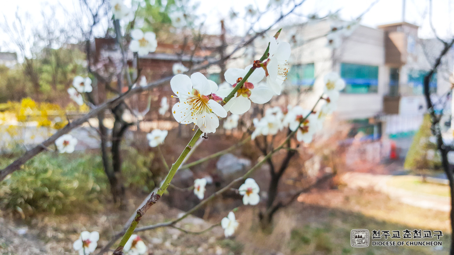 2017-04-07 at 14-02-49.jpg