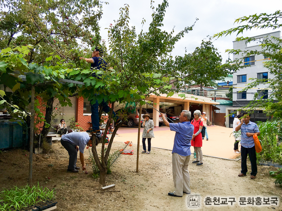 KakaoTalk_Photo_2016-07-19-16-58-18.jpg