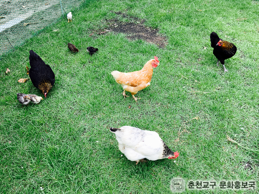 KakaoTalk_Photo_2016-07-19-16-57-50.jpg