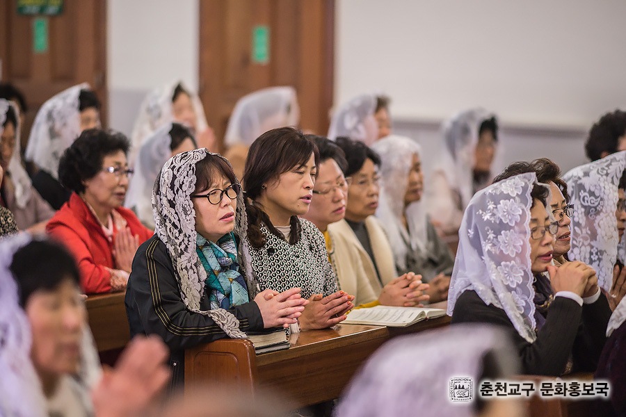 20131018-114655-45.jpg