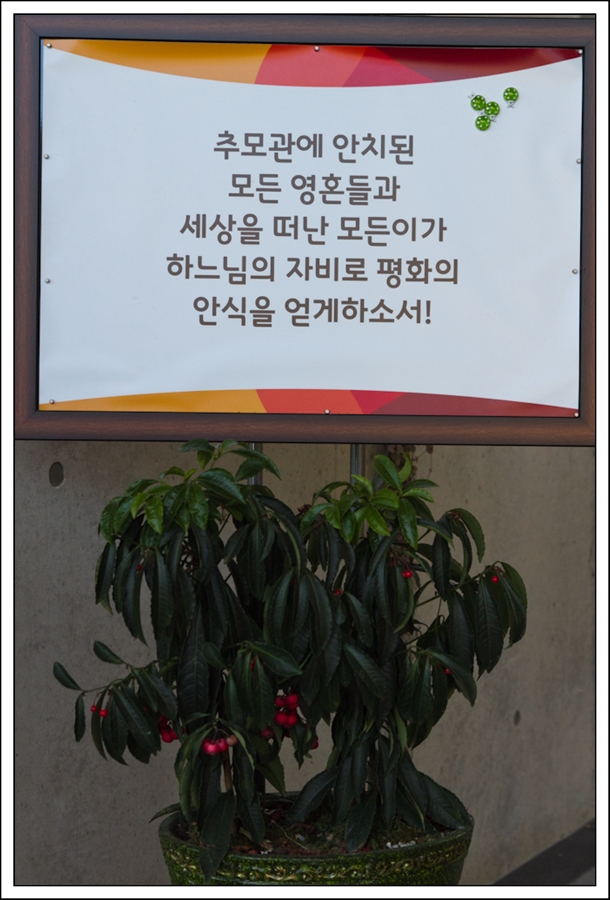부활성당22부활성당-23.jpg