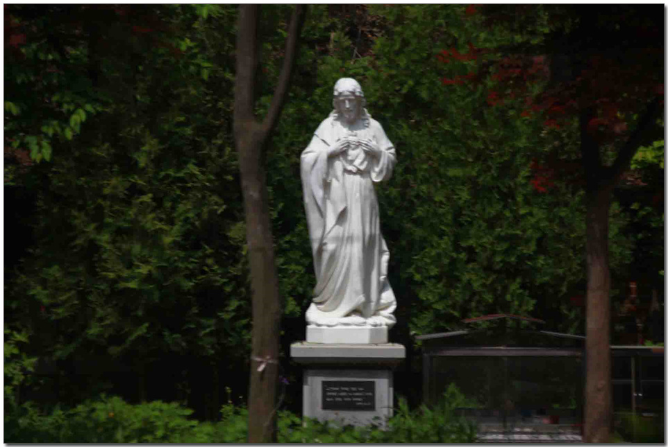 115.jpg