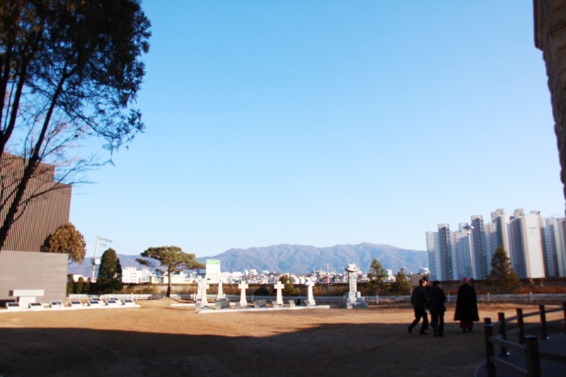 255.jpg