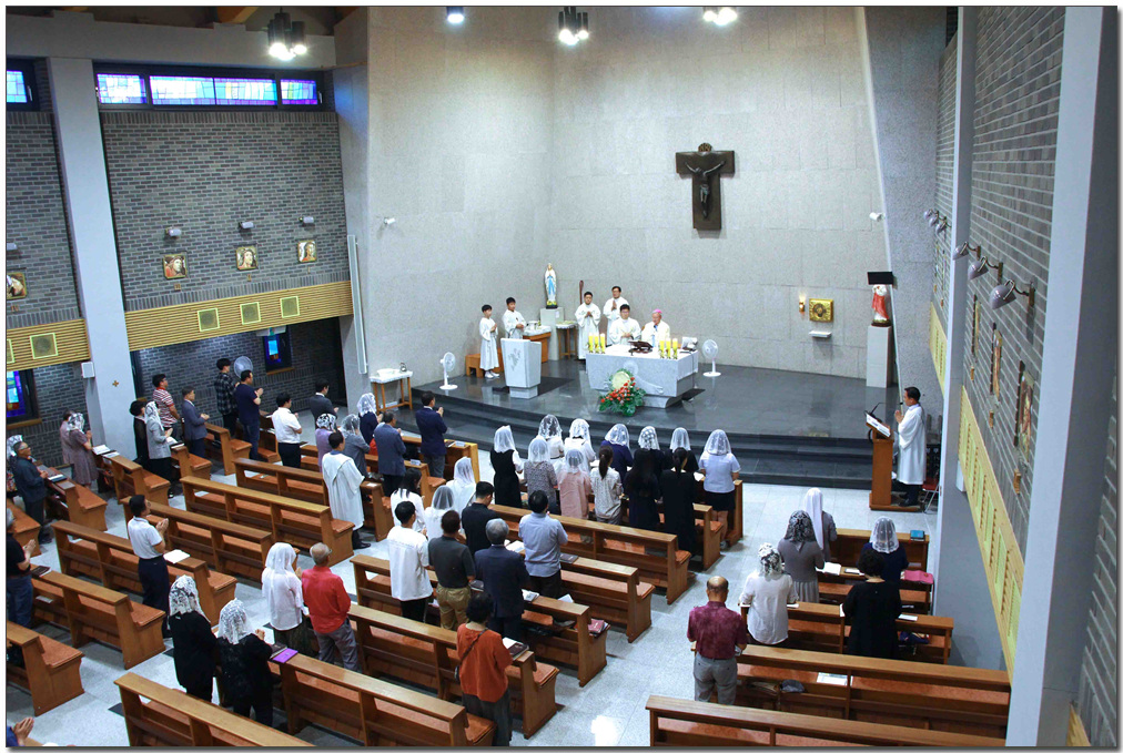 225.jpg