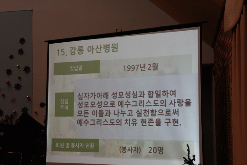 145.jpg