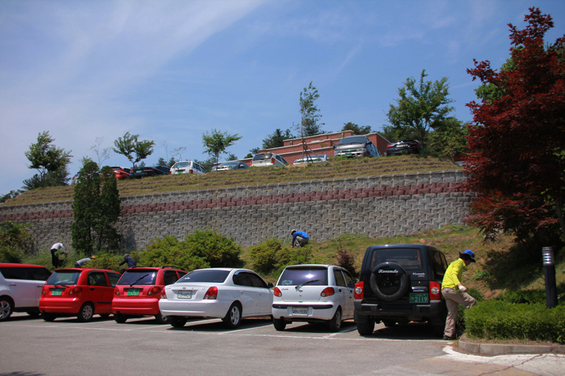 123.jpg