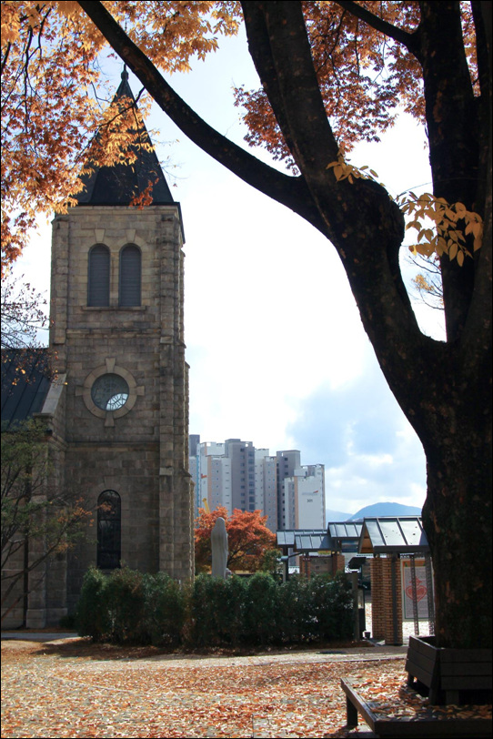 117.jpg