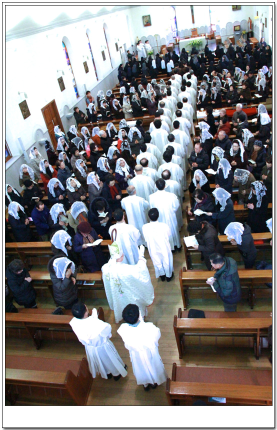 173.jpg