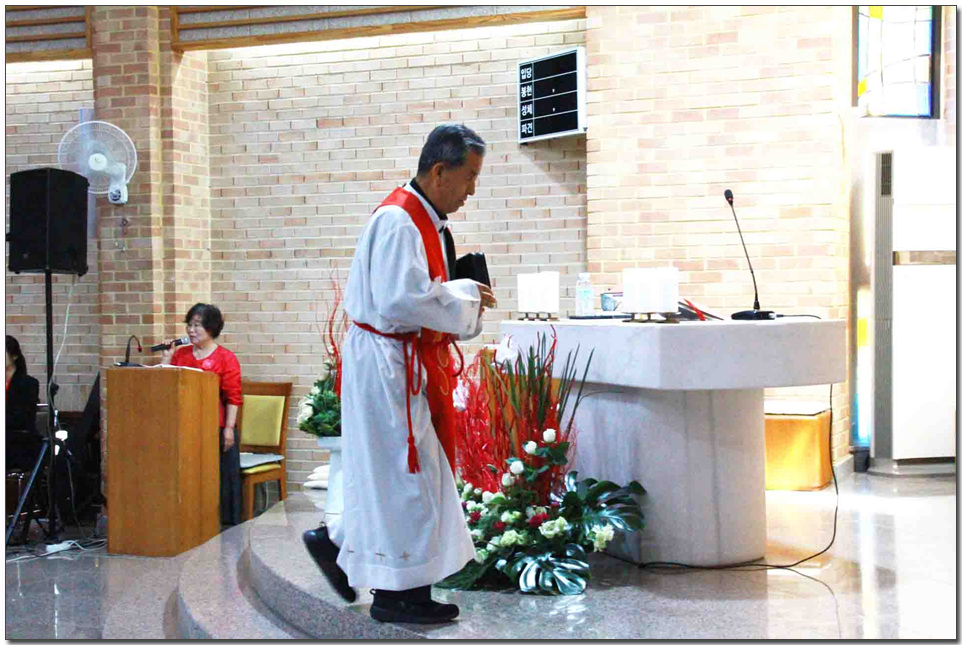 117.jpg