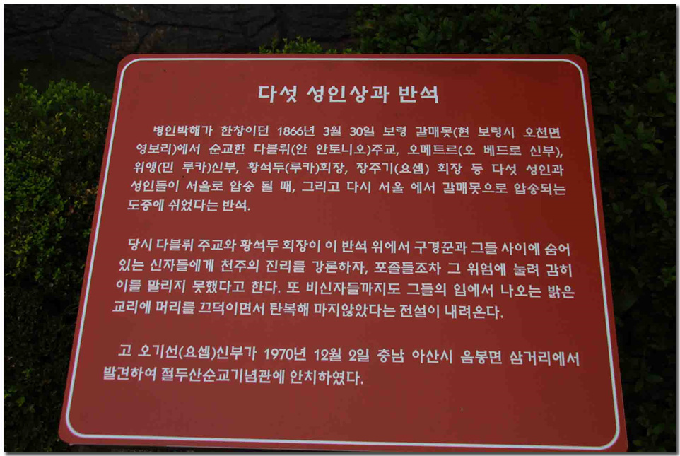 213.jpg