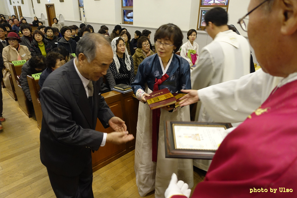 _DSC5433 - 복사본.jpg
