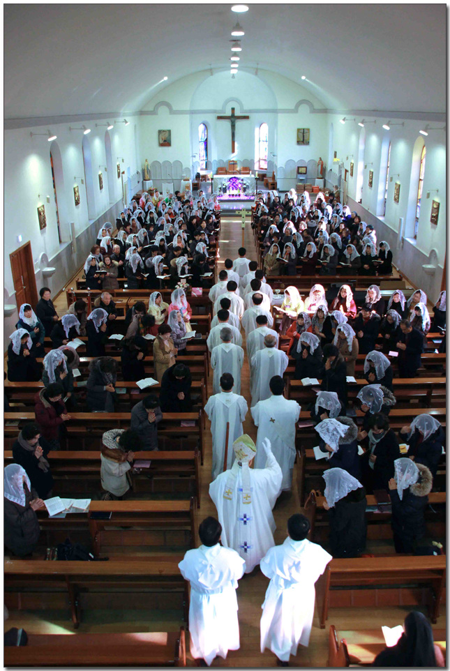 131.jpg