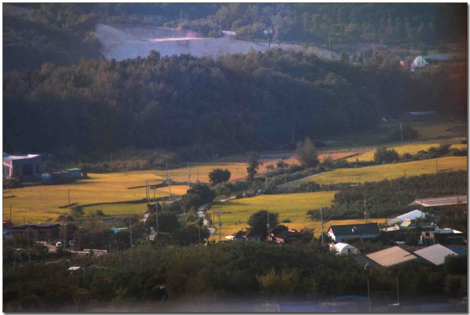 280.jpg