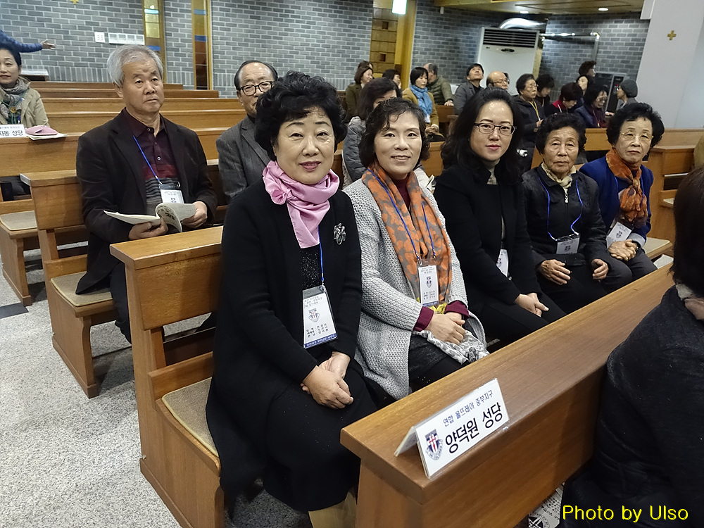 _DSC2696 - 복사본 - 복사본.jpg