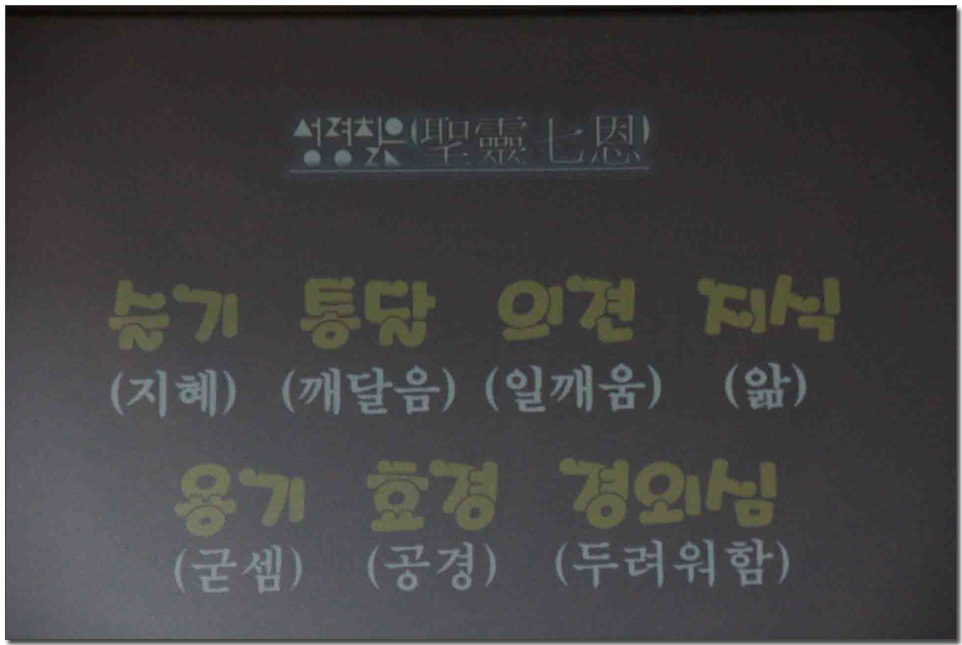 477.jpg