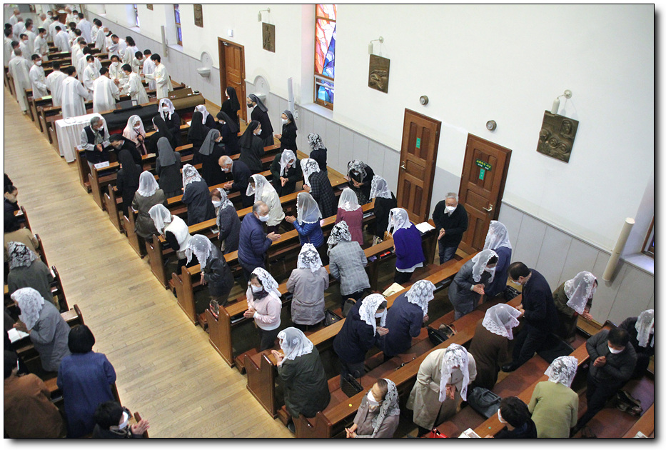 196.jpg