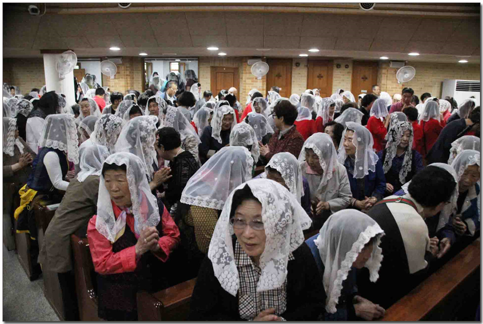 546.jpg