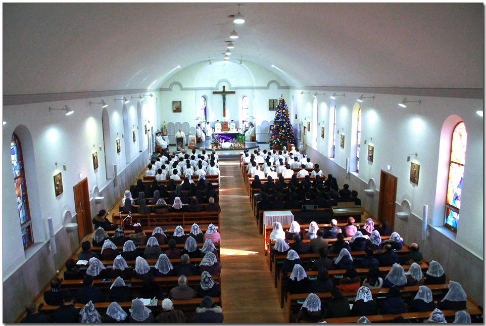 106.jpg