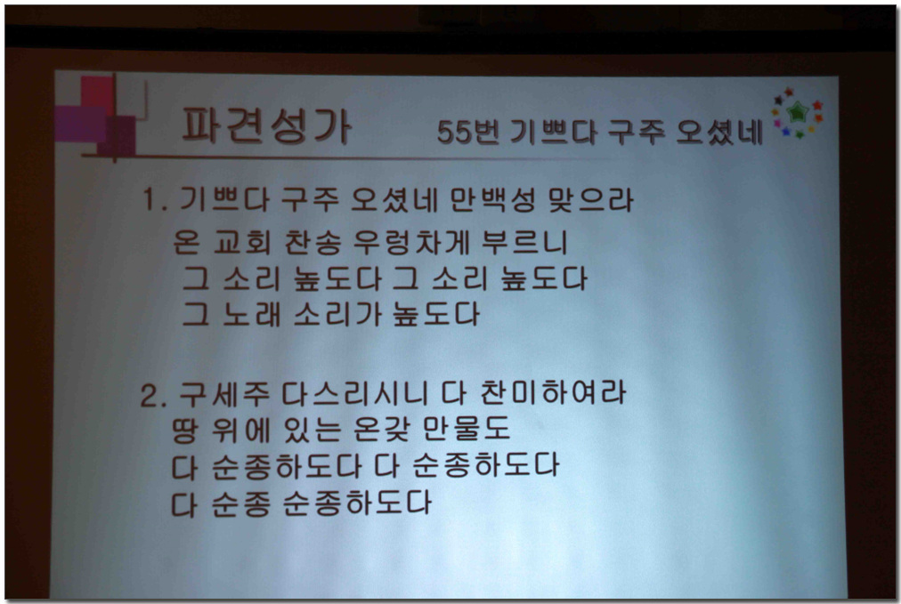 225.jpg