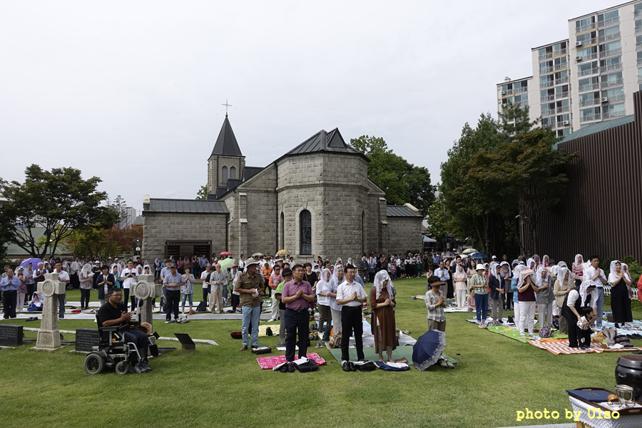 _DSC0865.jpg