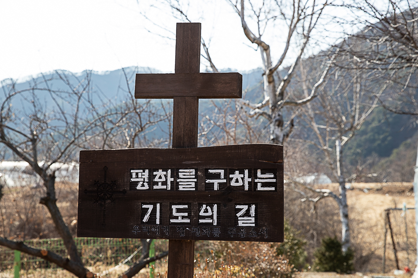 게세마니-08.jpg