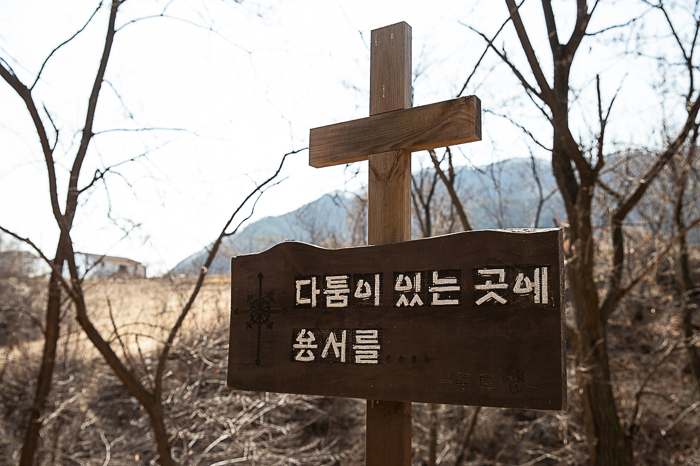 게세마니-11.jpg