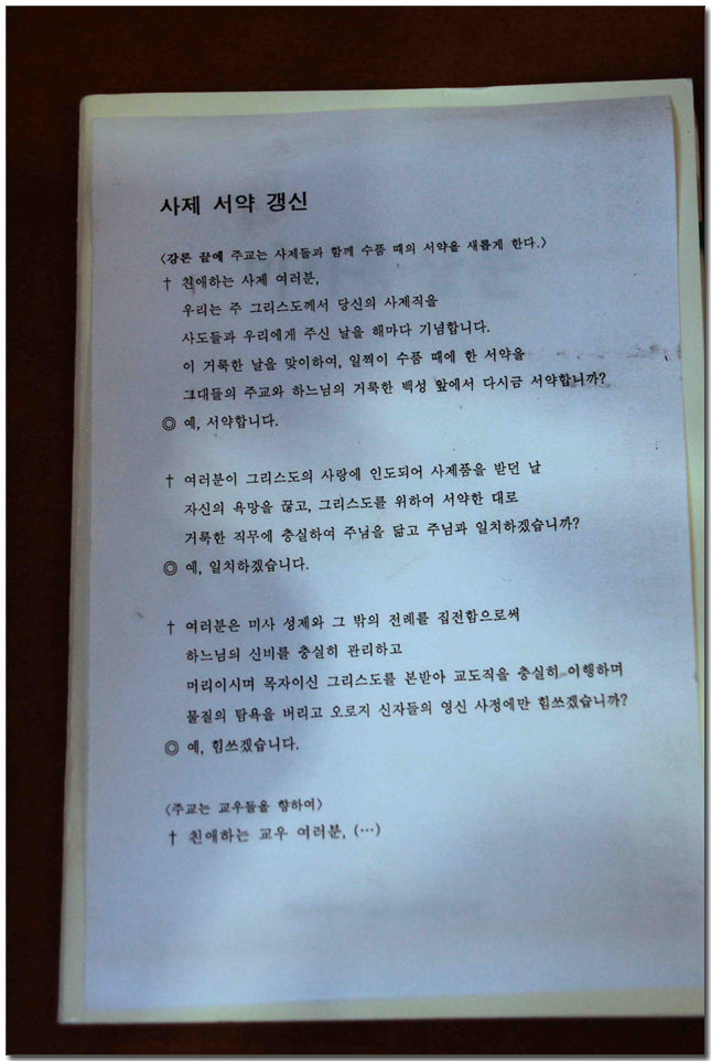 219.jpg