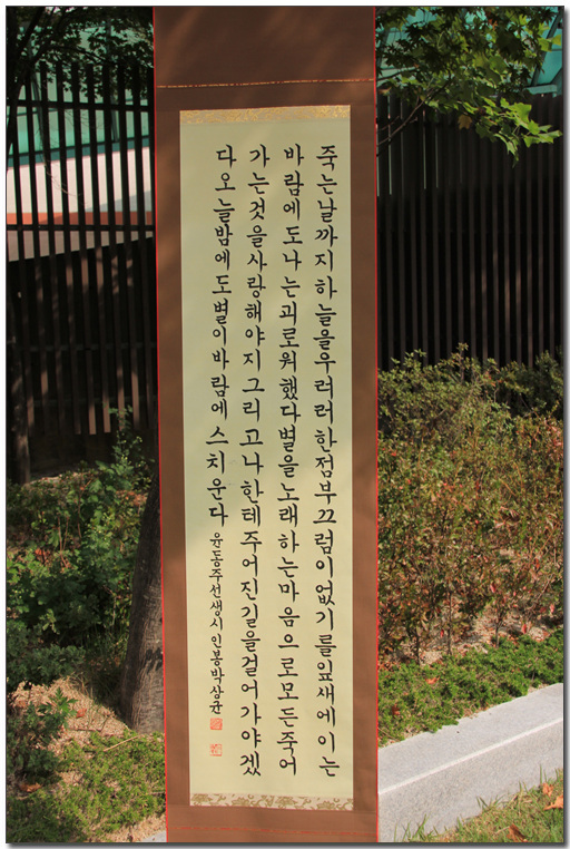 117.jpg