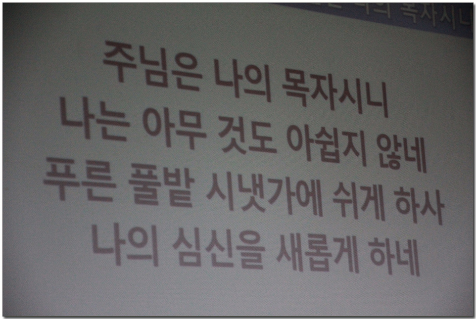 103.jpg