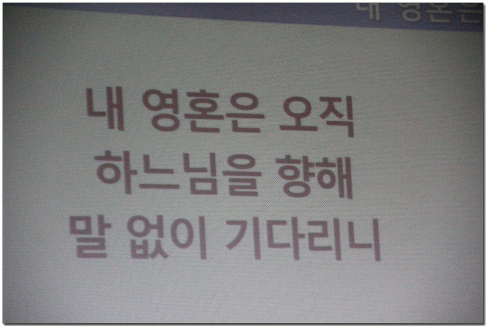 115.jpg