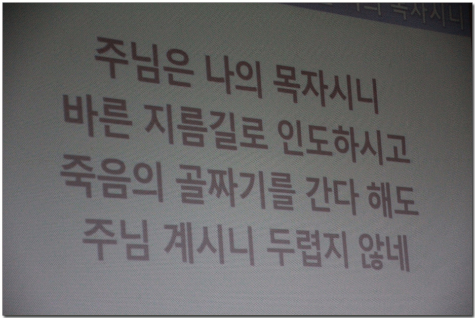 104.jpg