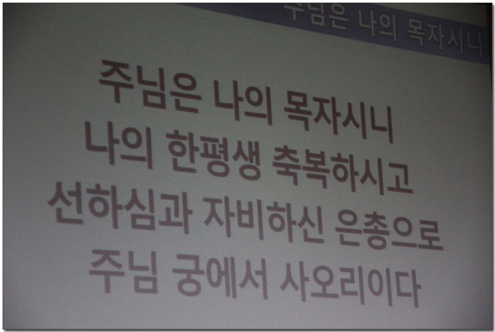 105.jpg